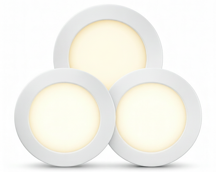 LED Down Light