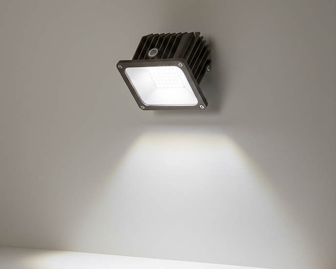 LED Mini Wall Pack Light